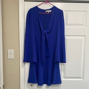 Diane Von Furstenberg Royal blue dress.